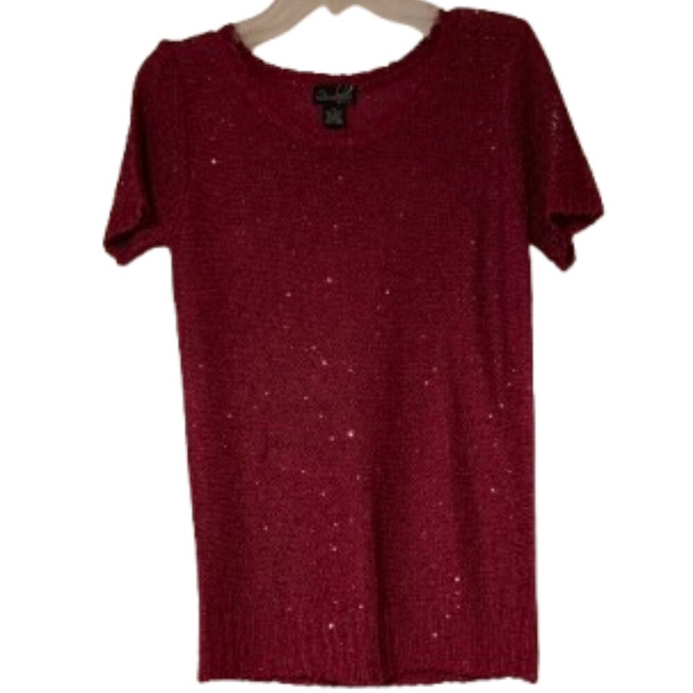 Questions Raspberry Sheer Sequin Sweater - Medium - image 1